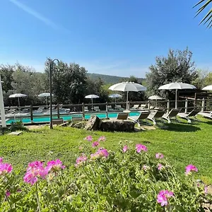 Serraiola Alta Monterotondo (Tuscany)